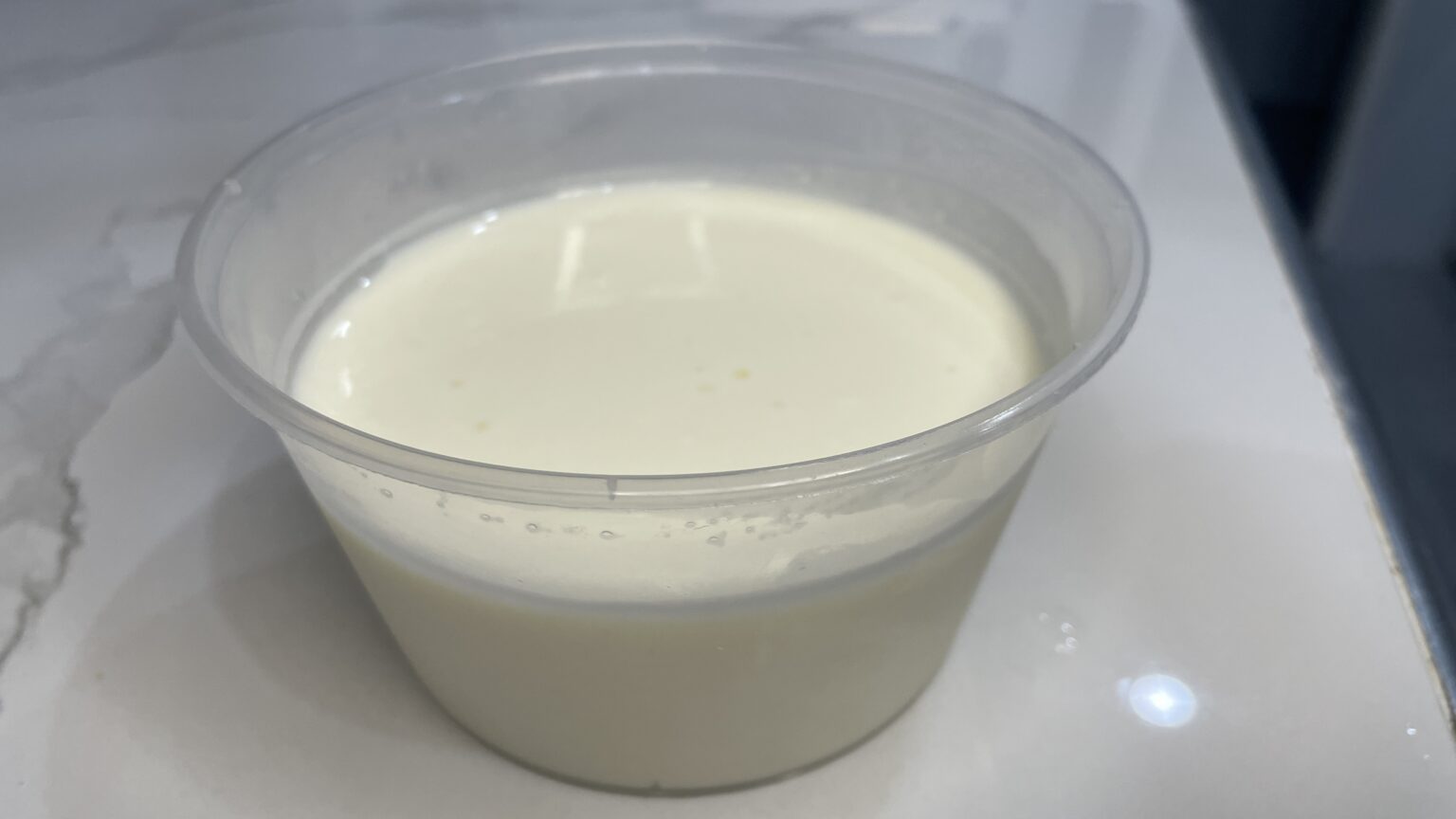 Murata Fermented Foods Lab English version フィリピン起業日記2